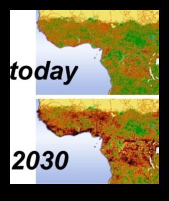 Bazı manzaralar neden habitat parçalanmasına daha yatkındır?