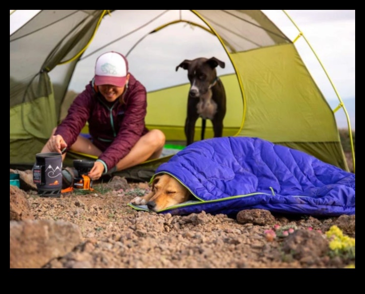 Köpek Kampı Devam Ediyor: Köpek Dostu Bir Çadır Yapımı