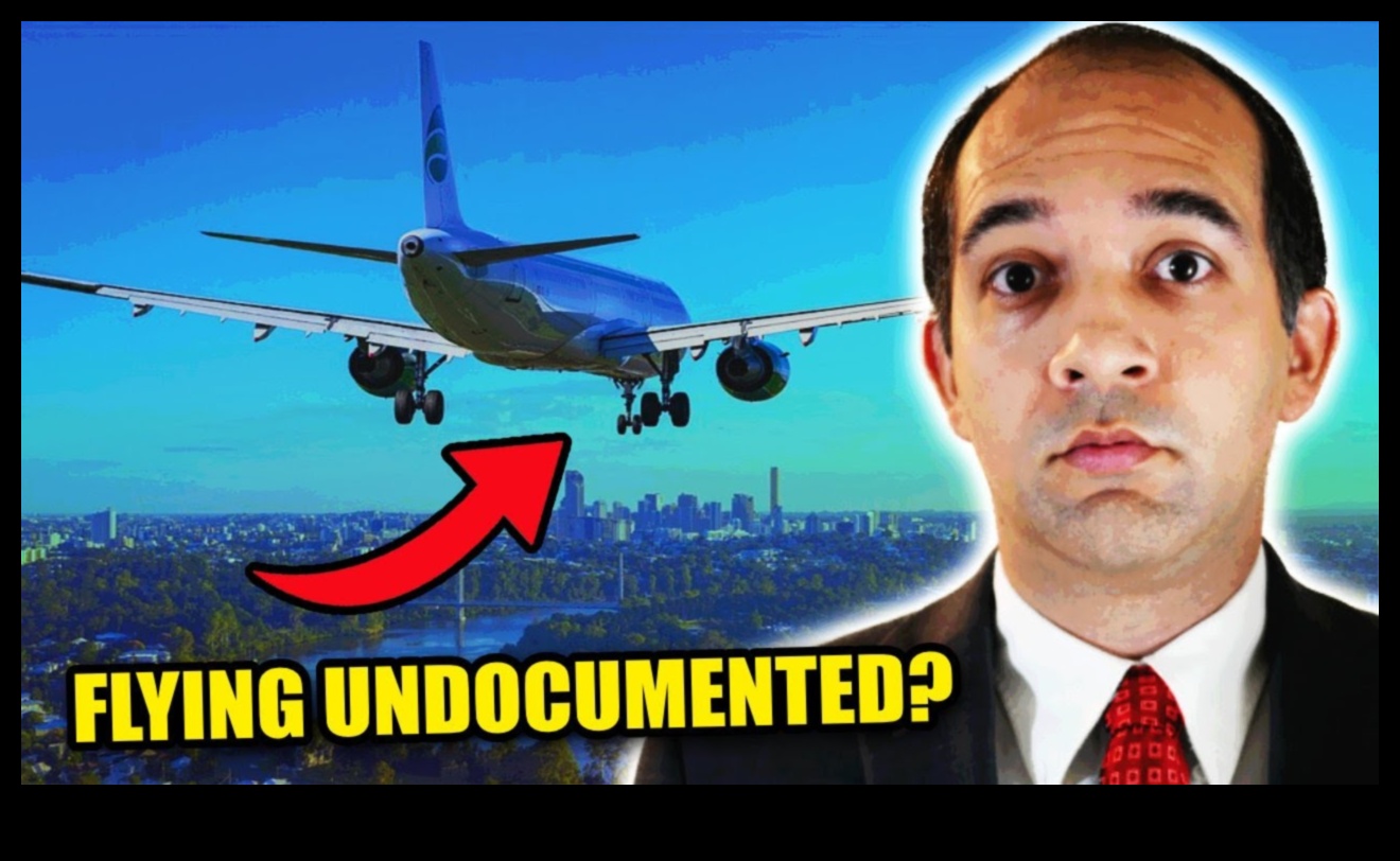 can an immigrant travel by plane in the us